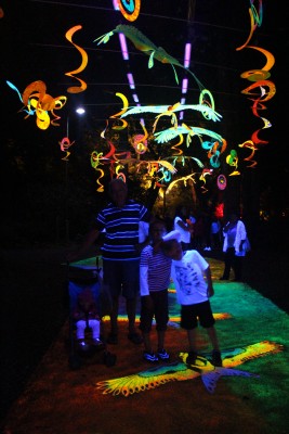 This is the grand childrens favourite part of the Festival of Lights. The ultraviolet lights :-) We all try to wear something white!