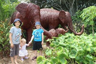 The three grand children with the elephants at Brooklands Zoo.