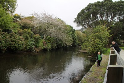 More very picturesque moments on the Te Henui walkway :-)