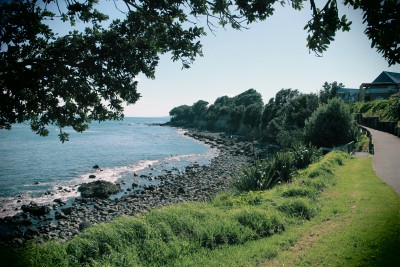 One of the amazing views along the wak. This one is just before you get to Kawaroa Park