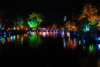 Another photo of the lights at the top Lake in Pukekura Park.