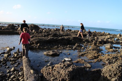 These are the rock pools at Kawaroa. The kids love to look to see if they can find crabs or starfish.