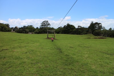 One of the two Flying Foxes at Volcano View