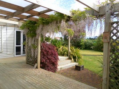 Looking across our deck towards the lounge French doors. The Wisteria is beautiful but does take a bit to keep under control.