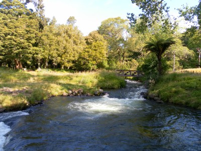 There are plenty of places to have a picnic surrounded by lovely scenery