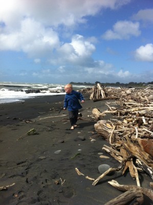Grandson playing down at the Waitara Beach on a windy day. Look at all the driftwood!
